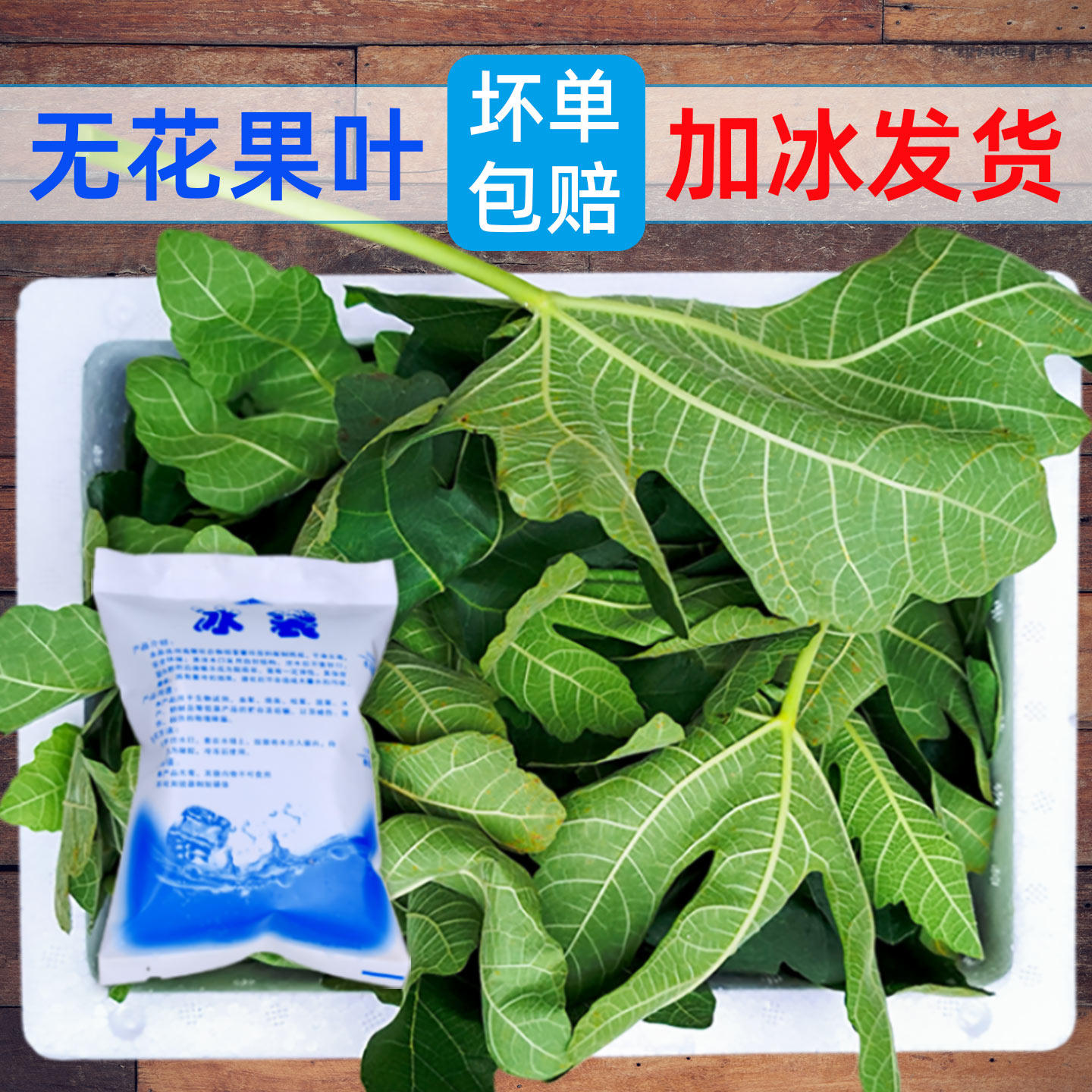 新鲜无花果树叶子500g广西产地现摘现发加冰发货包邮