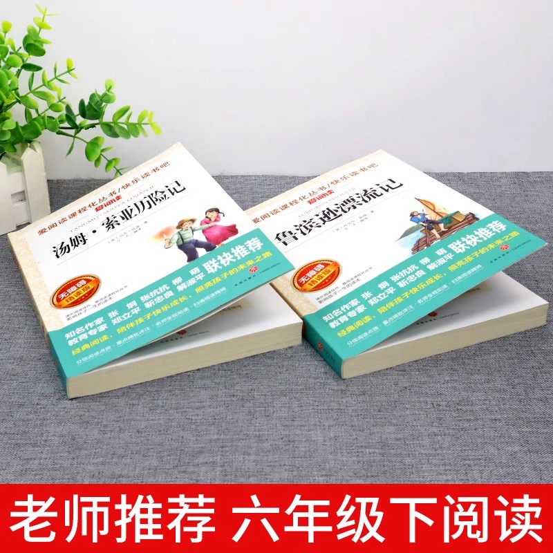 鲁滨逊漂流记原著完整版汤姆索亚历险记六年级下册课外书必读正版的快乐读书吧6下上册鲁滨逊鲁冰逊鲁宾汉鲁兵逊罗宾逊鲁迅漂游记 - 图1