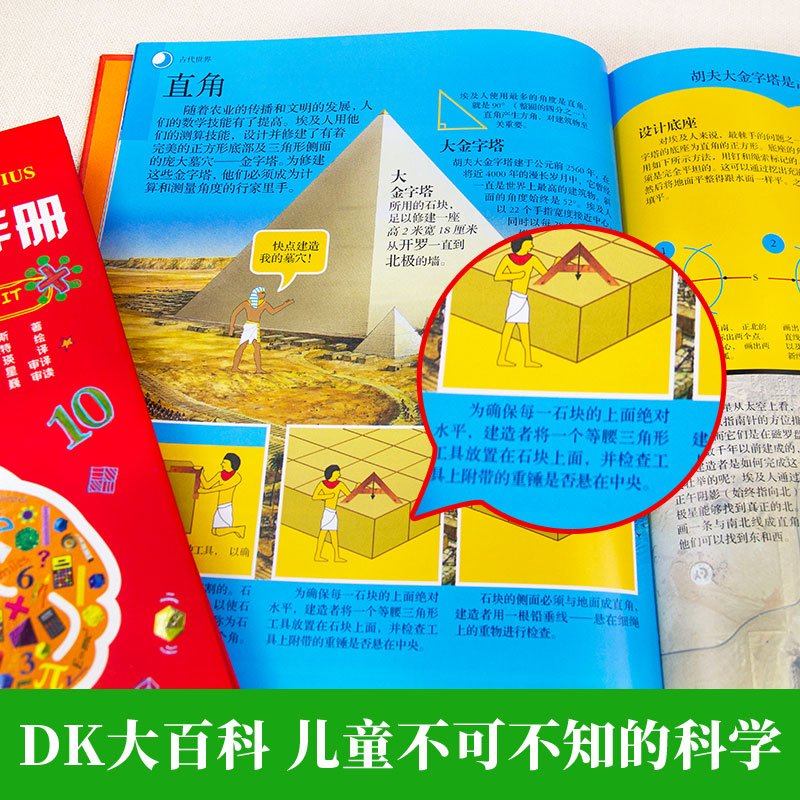 DK儿童百科全书数学思维手册数学魔术师奇妙的数学王国儿童科普百科全书dk图解数学十万个为什么DK博物大百科数学思维开发训练书籍 - 图2