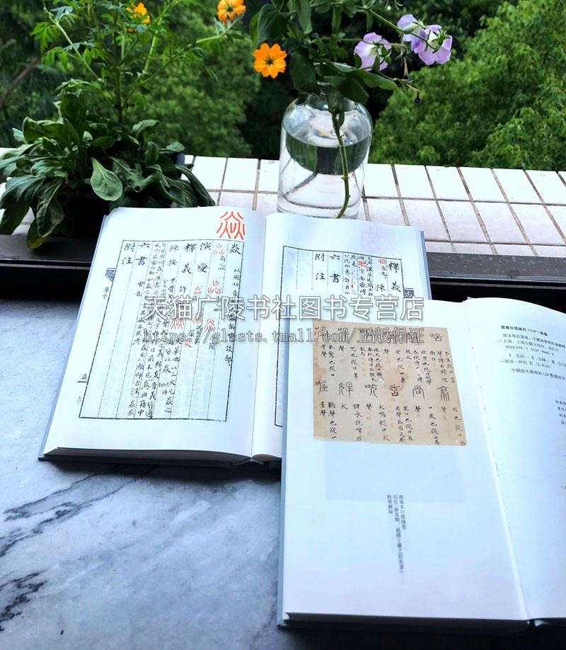正版 说文部首源流 字体演变与形义图释(全二册)陈建胜著 中国古文字书法研究整理鉴赏收藏 篆书入门教材参考书籍 上海古籍出版
