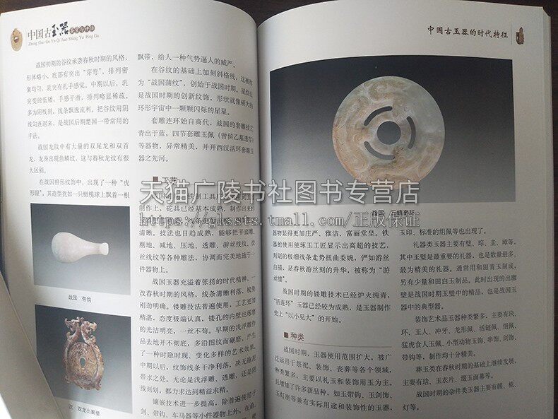 中国古玉器鉴赏与评估 辛一夫著 宝石玉器纹饰样式沁色红山良渚文化玉器鉴定古董文物收藏鉴赏辨伪投资指南书籍 天津古籍出版社
