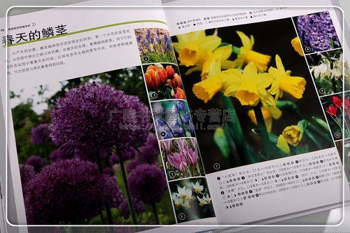 家庭园艺种植百科绿色植物花卉花园栽培种植入门养花种花蔬菜水果植物选择植物搭配水循环提高土壤肥力减少病虫害堆肥知识 - 图1