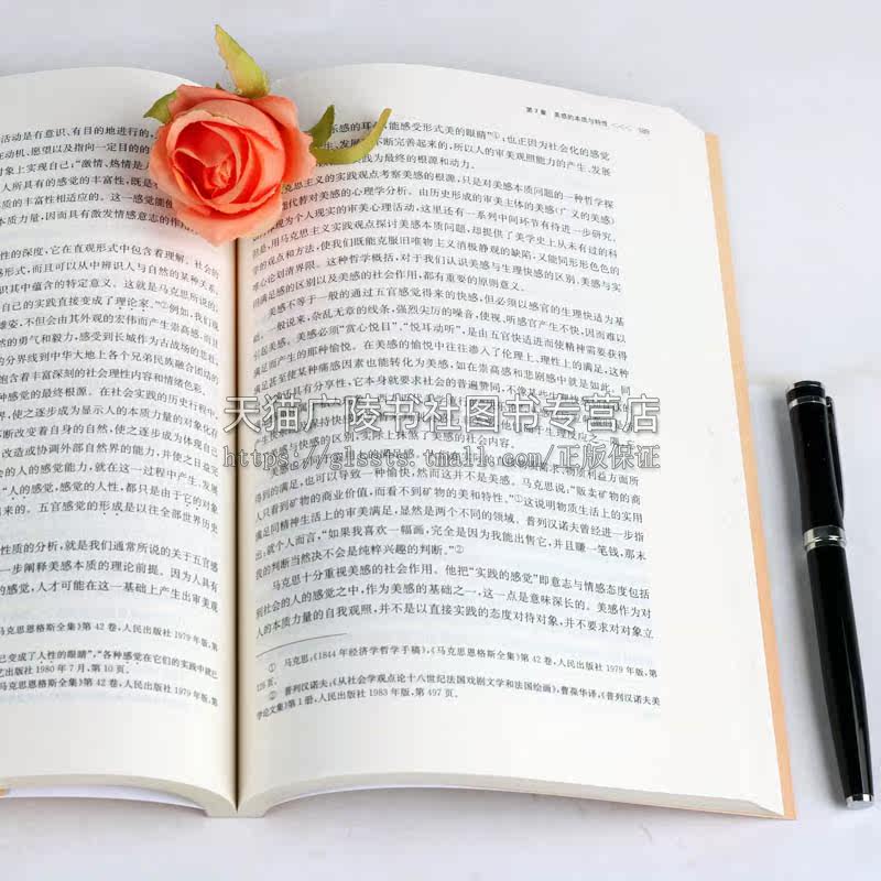 美学基本原理 艺术工艺美术中文哲学艺术类学科专业考研参考新世纪美学教材书籍