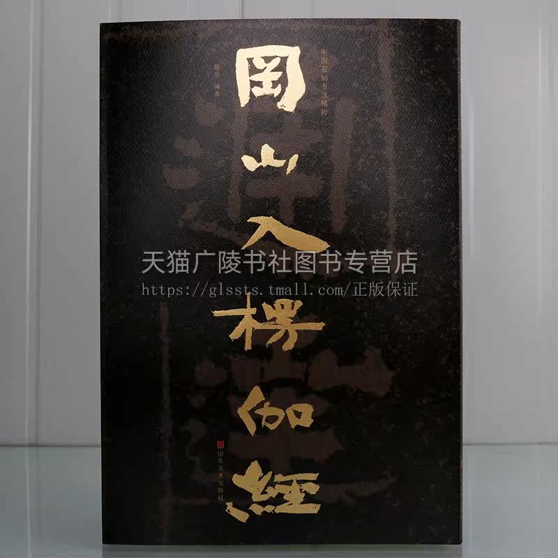 中国石刻书法精粹 冈山入楞伽经 中国传统艺术经典书系书法理论字帖楷书教程篆刻碑帖爱好者初学者练习赏析临摹范本山东美术出版社