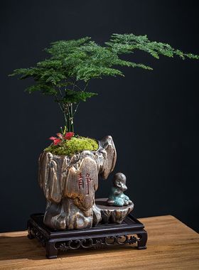 文竹六月雪花盆中式盆景室内办公室书房植物四季常青装饰小摆件