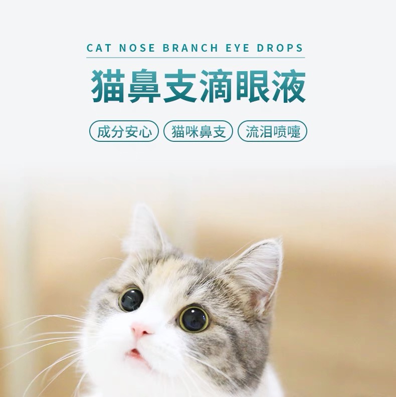 博莱得利滴眼液猫鼻支疱疹杯状病毒猫咪眼睛流泪消炎用眼药水10ml - 图0