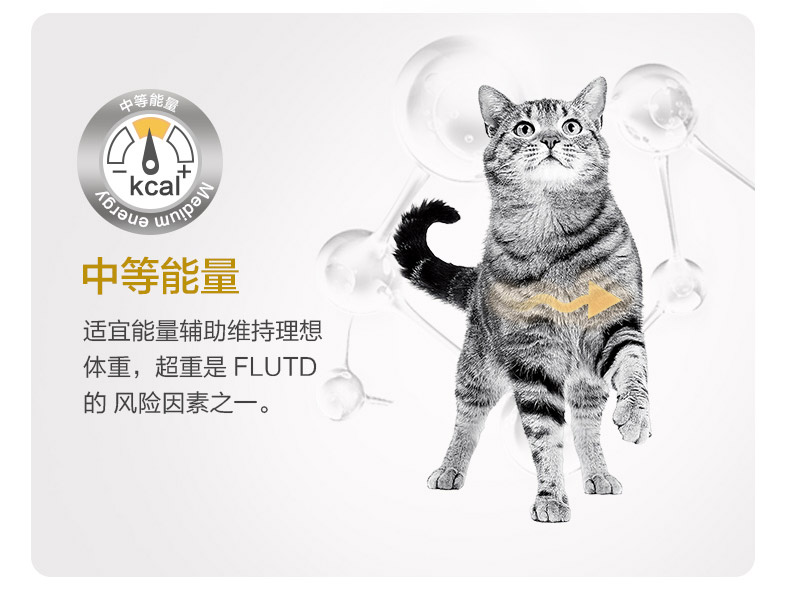 皇家成猫粮LP34猫泌尿道全价处方粮猫主粮通用粮情绪舒缓1.5kg - 图1