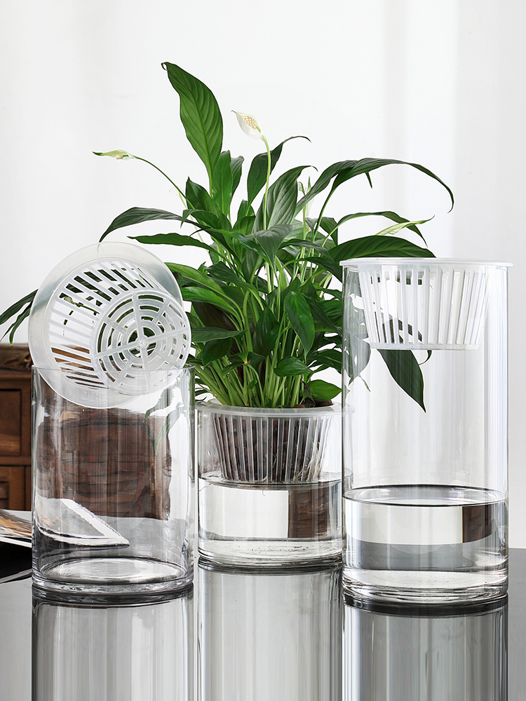 水培植物玻璃瓶子透明直筒圆柱形花瓶简约绿萝花盆白掌水养缸容器 - 图2