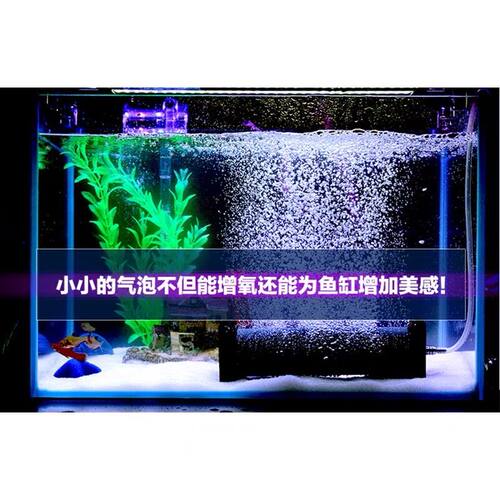 包邮 鱼缸气泡石/水族气柱/大型池塘气石/气盘/气饼《越和水族》 - 图1