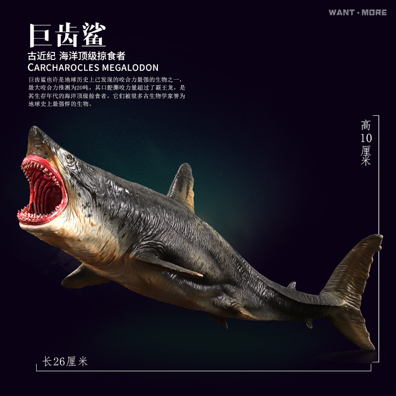 玩模乐儿童仿真海洋玩具大号模型 玩模乐仿真/动物玩偶