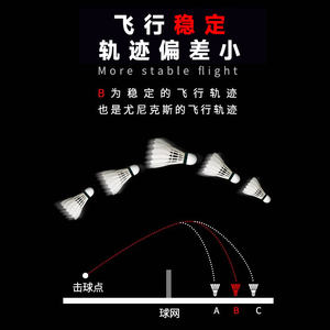 官网尤尼克斯yonex羽毛球12只yy专业训练比赛用耐打球AS05 03 02