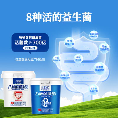 兰格格草原酸奶八旗菌凝酪760g*2