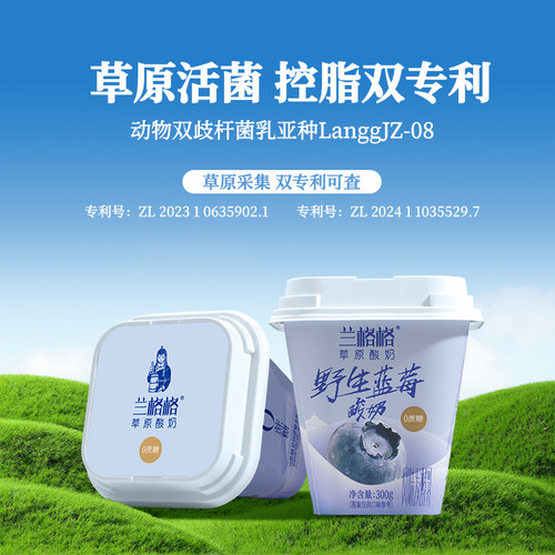 兰格格草原酸奶野生蓝莓味300g*2杯0蔗糖低温酸奶组合装 - 图1