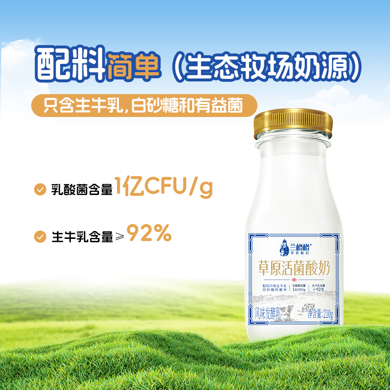 兰格格草原活菌酸奶210g*12瓶 低温酸奶益生菌