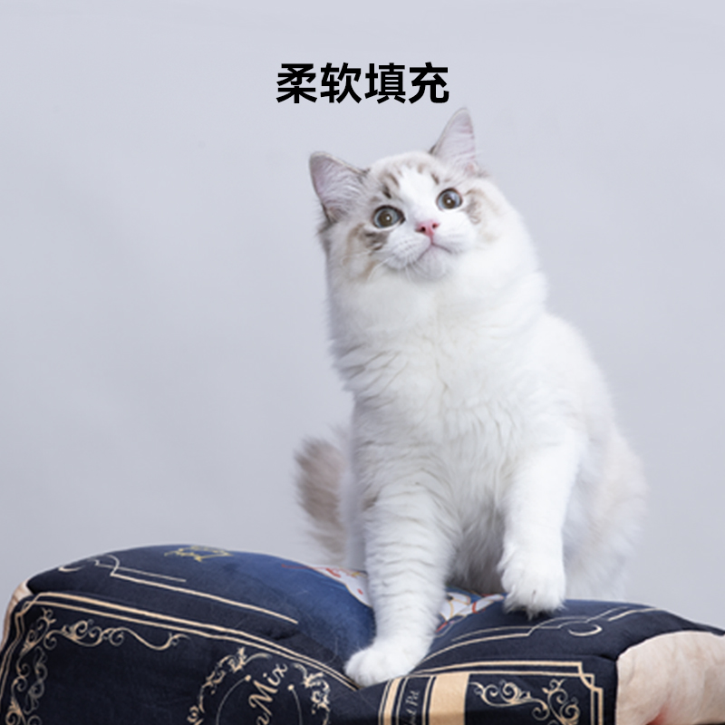 LumaMix魔法书猫狗窝原创宠物睡垫窝保暖四季睡觉响纸玩具猫狗床,淘宝优惠券,粉丝福利购,淘宝优惠卷