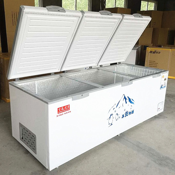 升节能商用单温双温两用大冰柜冷柜冷冻冷藏速冻雪柜 1018 雪花之星 升节能商用单温双温两用大冰柜冷柜冷冻冷藏速冻雪柜 1018 雪花之星