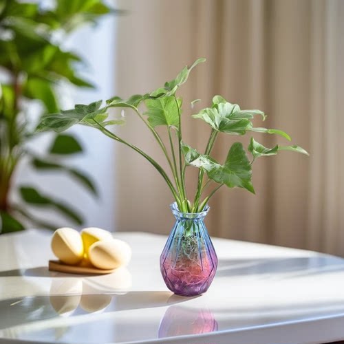 龙鳞春羽水培绿植盆栽室内花卉四季常青好养易活龟背竹观叶植物 - 图3