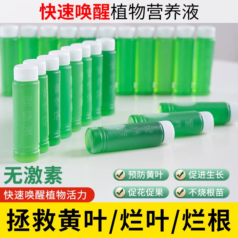 水培植物通用营养液多肉盆栽花木观叶肥料养花富贵竹水养绿箩绿叶