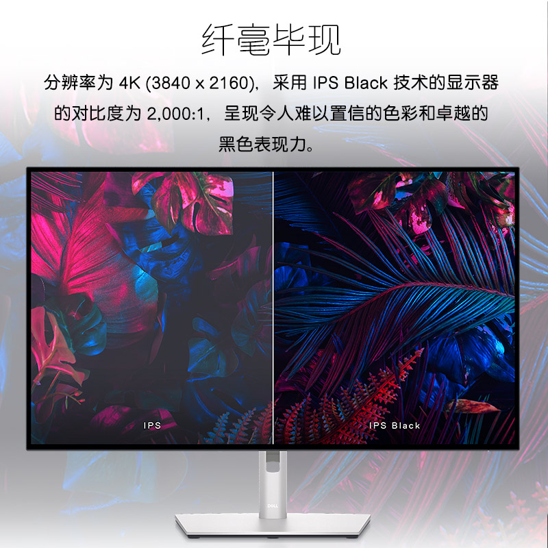 Dell/戴尔U3223QE护眼31.5英寸4k显示器IPS显示屏 - 图0