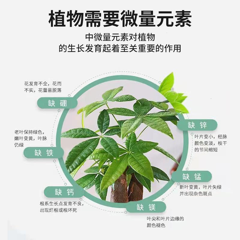 发财树营养液室内专用肥叶子发黄落叶盆栽绿植水培植物通用型花肥 - 图1