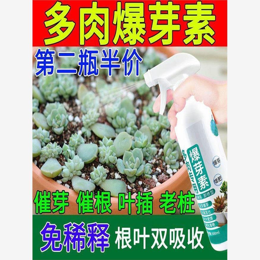 室内花草营养液多肉爆芽素强力催芽剂多肉植叶面喷施 - 图3