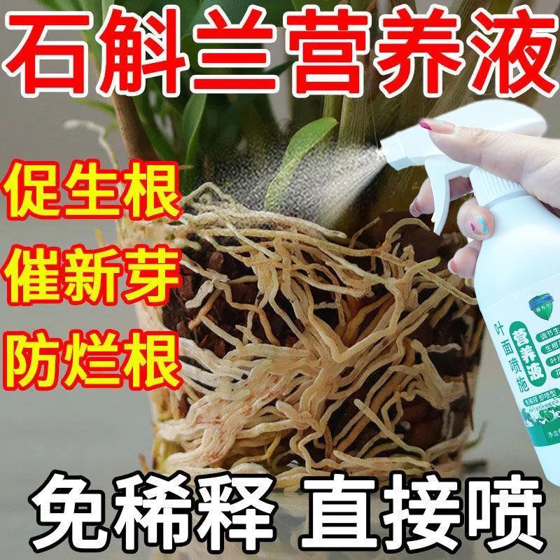 营养液养花专用通用石斛兰专用植物营养液催新芽治黄叶防软腐花肥-图0