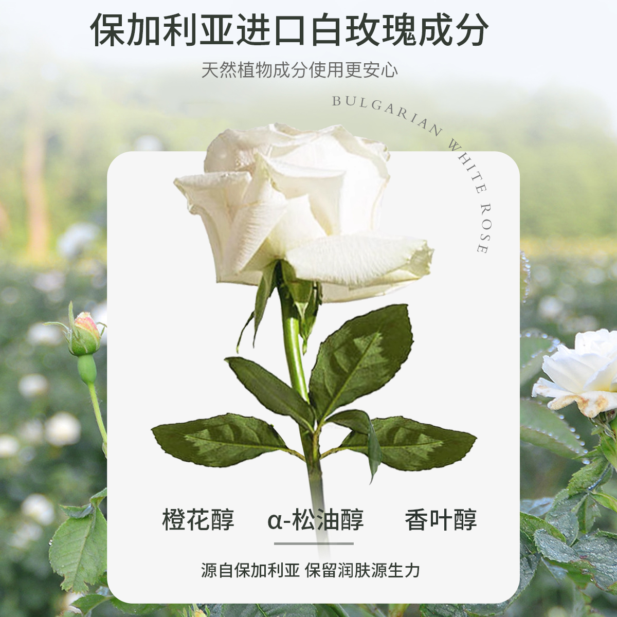zrzr大马士革玫瑰纯露补水爽肤水 zrzr纯露/花水