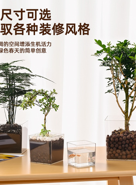 透明亚克力方形花盆水培绿植郁金香多肉花瓶方缸器皿摆件仿玻璃小
