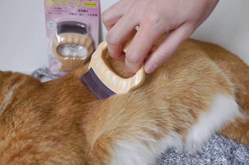 Fat Orange Японский подлинный филоком Filo Shell Combat Cat and Dog Frica Comb Pett Petts