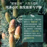 阿芙 Масло, массажер для лица, аромотерапия, 10 мл, контроль жирного блеска, сужает поры