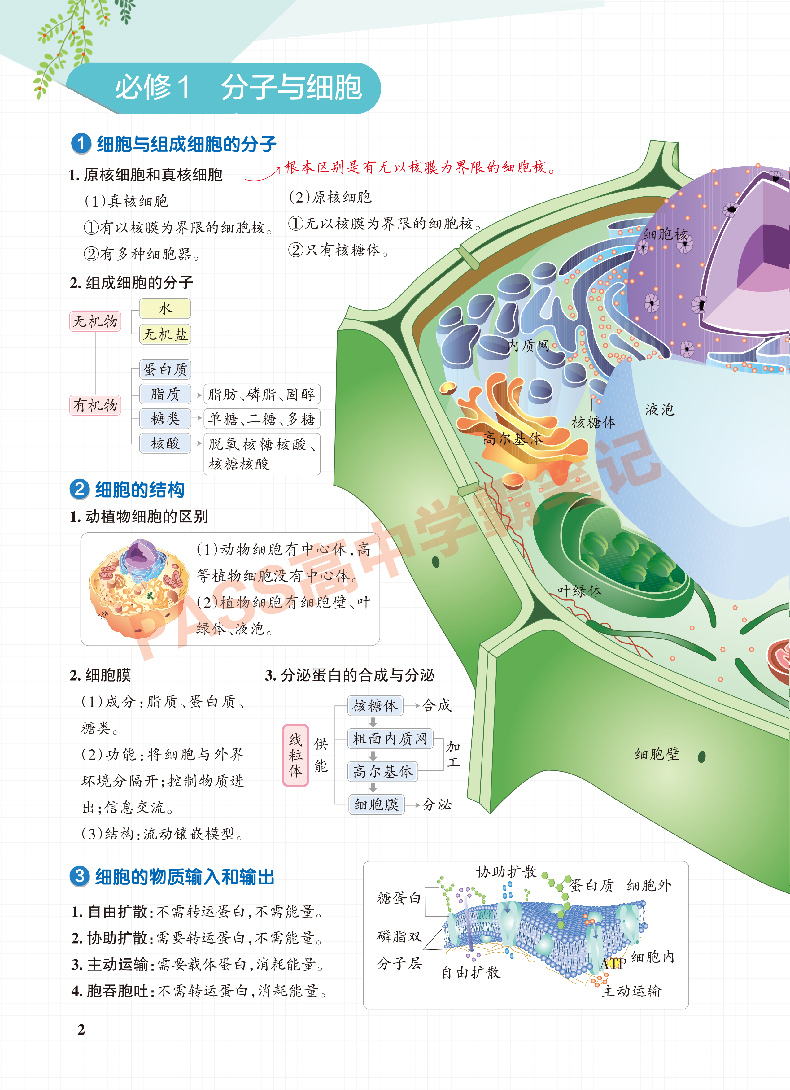 新教材新高考2025版学霸笔记高中生物必修12选择性必修 高中生物必修一二通关训练知识导图手写批注图文详解教材全解重难点手册 - 图1