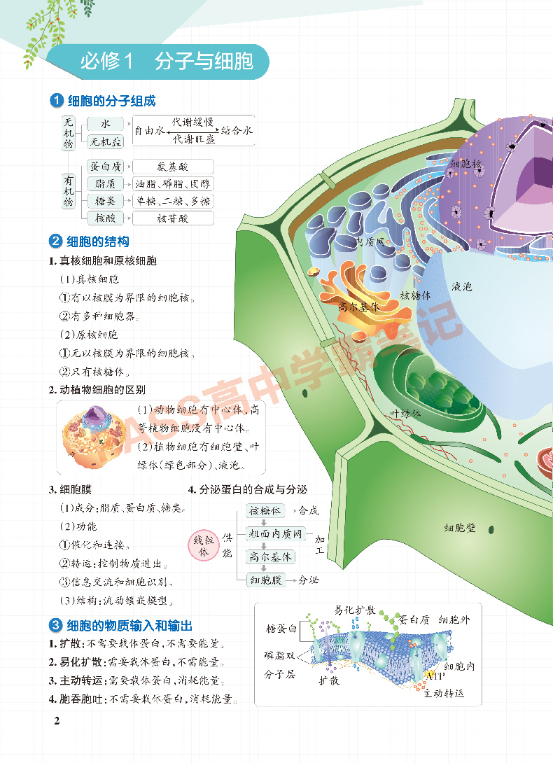 浙江2025版学霸笔记高中生物浙科版ZK版必修1必修2选择性必修123重难点知识教材全解解读典型训练题知识大全清单高考复习资料-图1