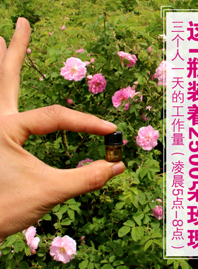 镇店之宝会结晶新疆大马士革玫瑰精油滋养护改善女性肌肤内外问题