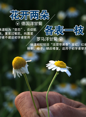 巨温和安抚敏感肌纯露/爽肤水