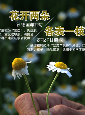 升级版安抚敏感肌肤纯露/爽肤水