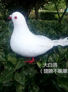仿真展翅泡沫羽毛鸟大白和平鸽