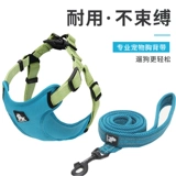 Truelove Dog Benge Strap Back жилет питатель