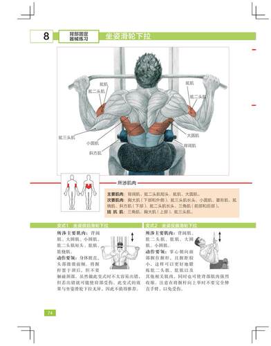 力量训练解剖全书 1000多幅解剖图+400多项肌肉练习+300多个配套视频 肌肉与力量的解剖学与认知及科学训练方案 北京科学技术出 - 图1