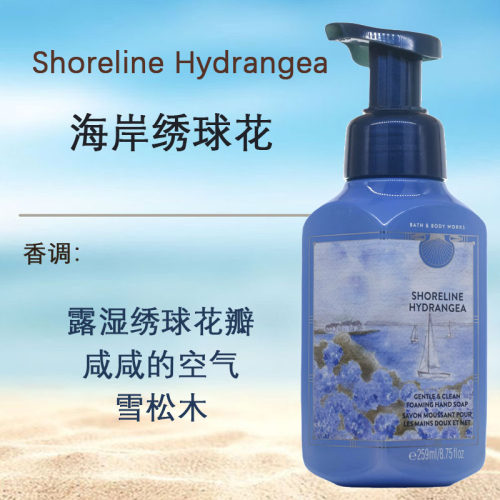 美国BBW柔和不伤手抗杀菌泡泡沫洗手液Bath&body works集合259ml - 图2