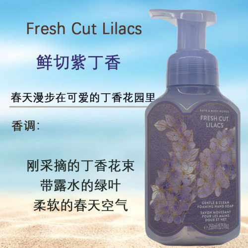 美国BBW柔和不伤手抗杀菌泡泡沫洗手液Bath&body works集合259ml - 图3