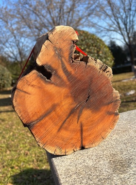 正品保真雷击枣木原木雷头枝原料百年老树龄无事牌手串料子非金属