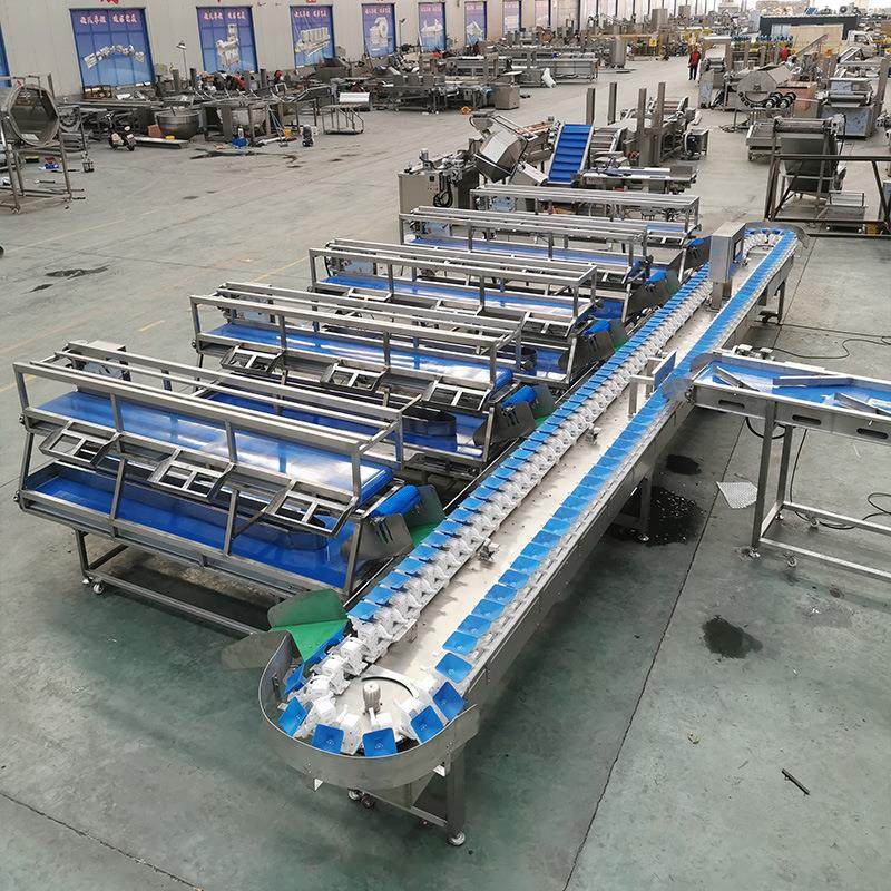 动态称重分级机全自动肉类称重分拣线海鲜冻肉称重分级机,淘宝优惠券,粉丝福利购,淘宝优惠卷