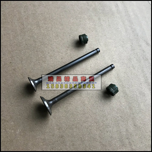 SDH50QT-41/40/42自由/世纪梦/天涯丽人 气门 气门油封 - 图1