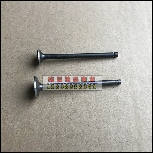 SDH50QT-41/40/42自由/世纪梦/天涯丽人 气门 气门油封 - 图3