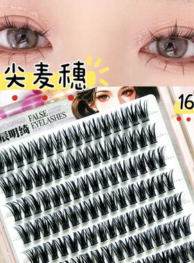 16mm免胶水硬盒分段式麦穗塔尖大恶魔小恶魔超长浓密假睫毛