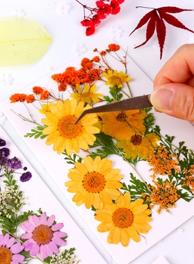 压花书签干花树叶手工材料包标本