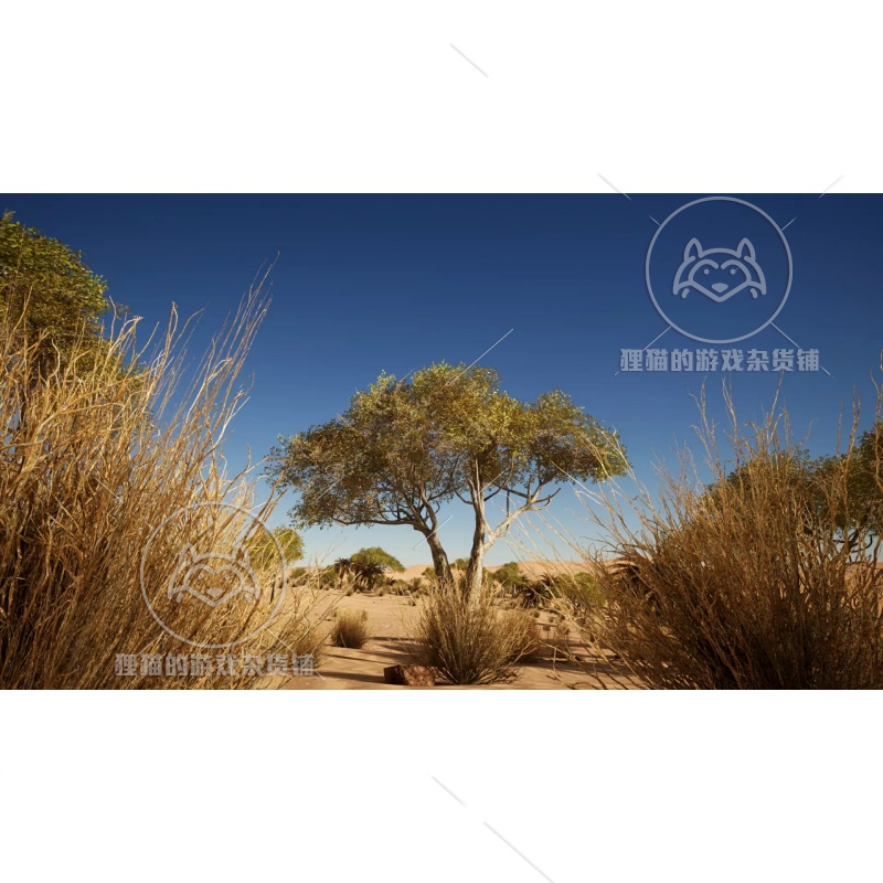 Unity African vegetation 非洲植被HDRP模型 1.0 - 图0