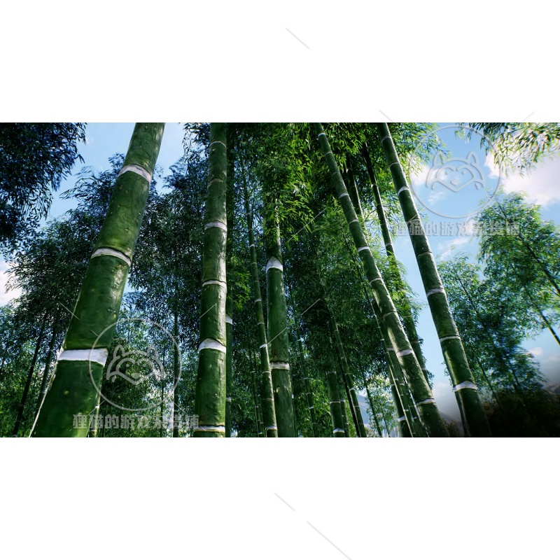 Unity Bamboo trees HDRP竹子竹林模型场景1.0-图1