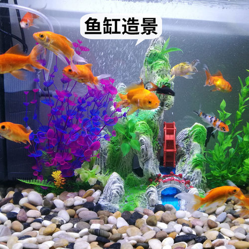天然抛光雨花石鹅卵石五彩原石花盆园艺鱼缸铺路石头多肉庭院装饰 - 图1