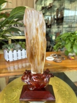 Editor 2920 #( Fuku Shuangquan) Myanmar natural 100 million years of tree-shaped jade wood-shaped jade stone pendulum piece original stone